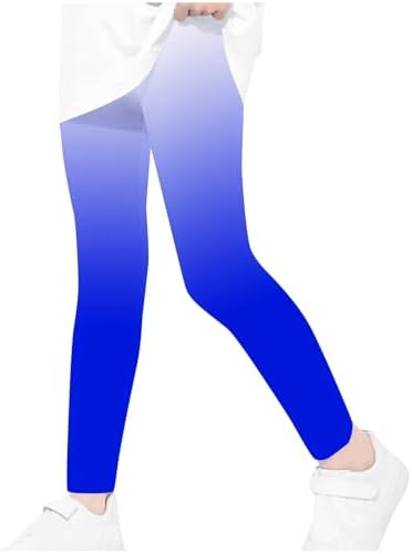 Ergonomic Gradient Mesh Leggings