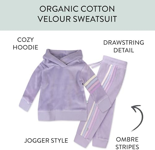 Organic SoftnessHonest Baby Velour Jogger SetPerfect for Cooling Days