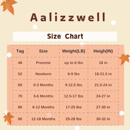 Aalizzwell Baby Girl Summer Outfit
