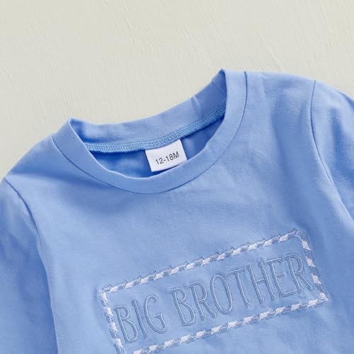 Perfect Matching Outfits for Little Big Brothers