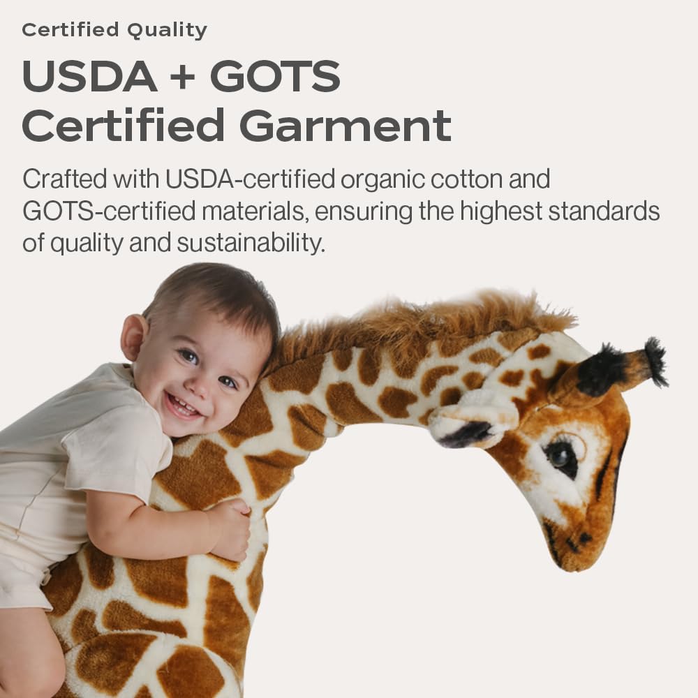Adorable Organic Baby Shorts